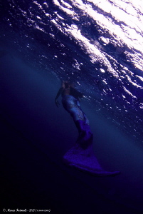 Blu mermaid by Marco Faimali (ismar-Cnr) 